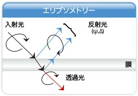 エリプソメトリー膜厚